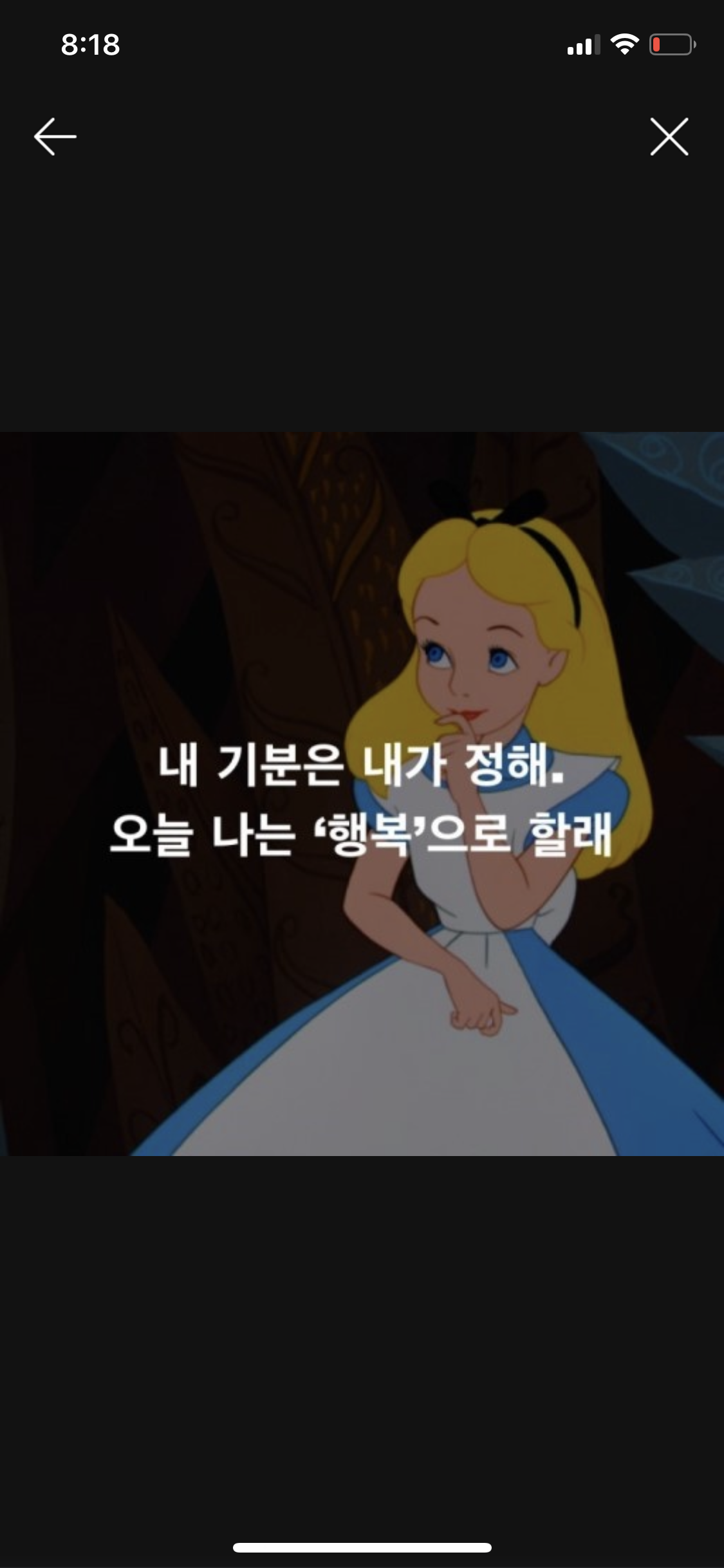 나라씨