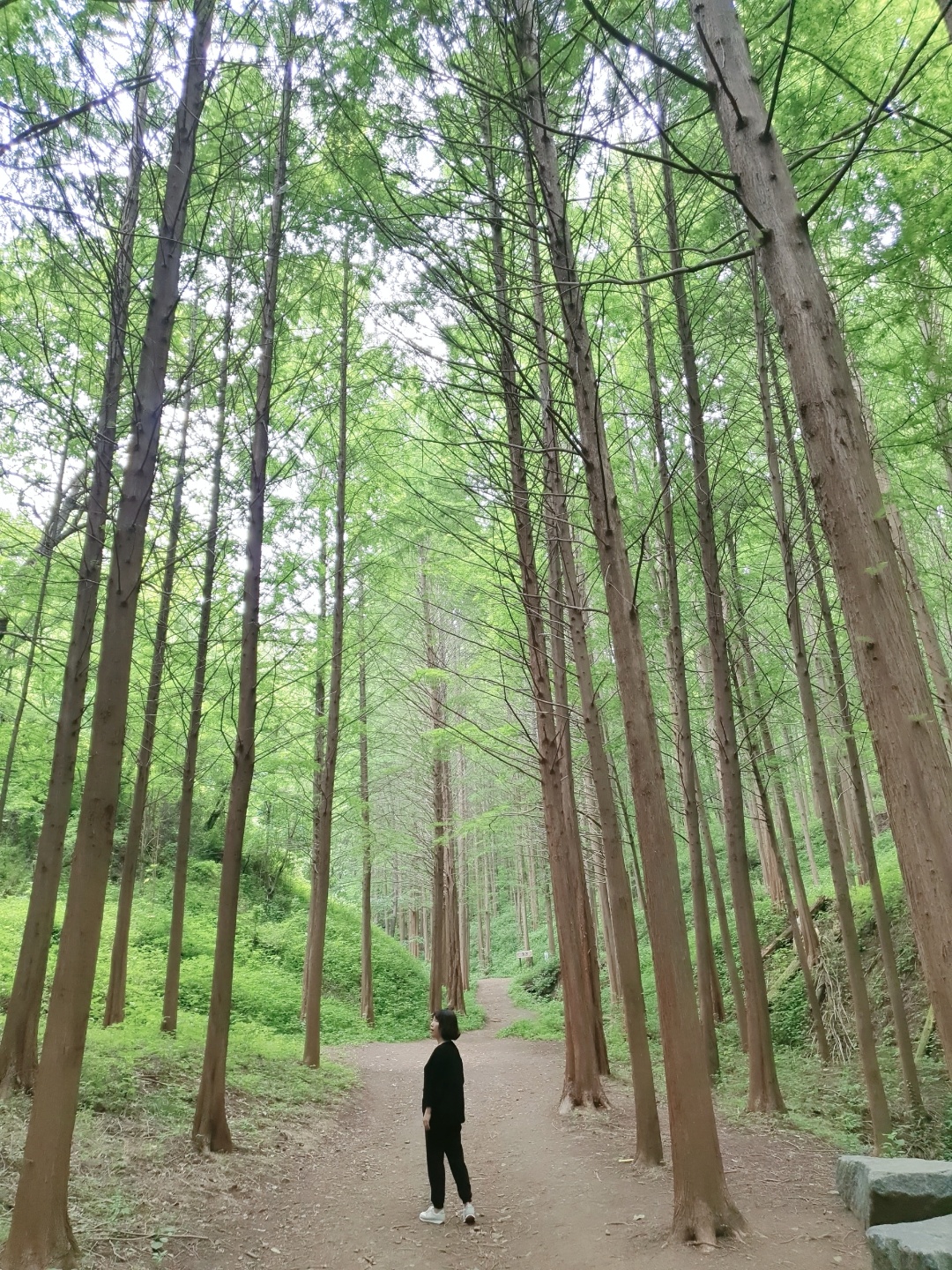 송미경
