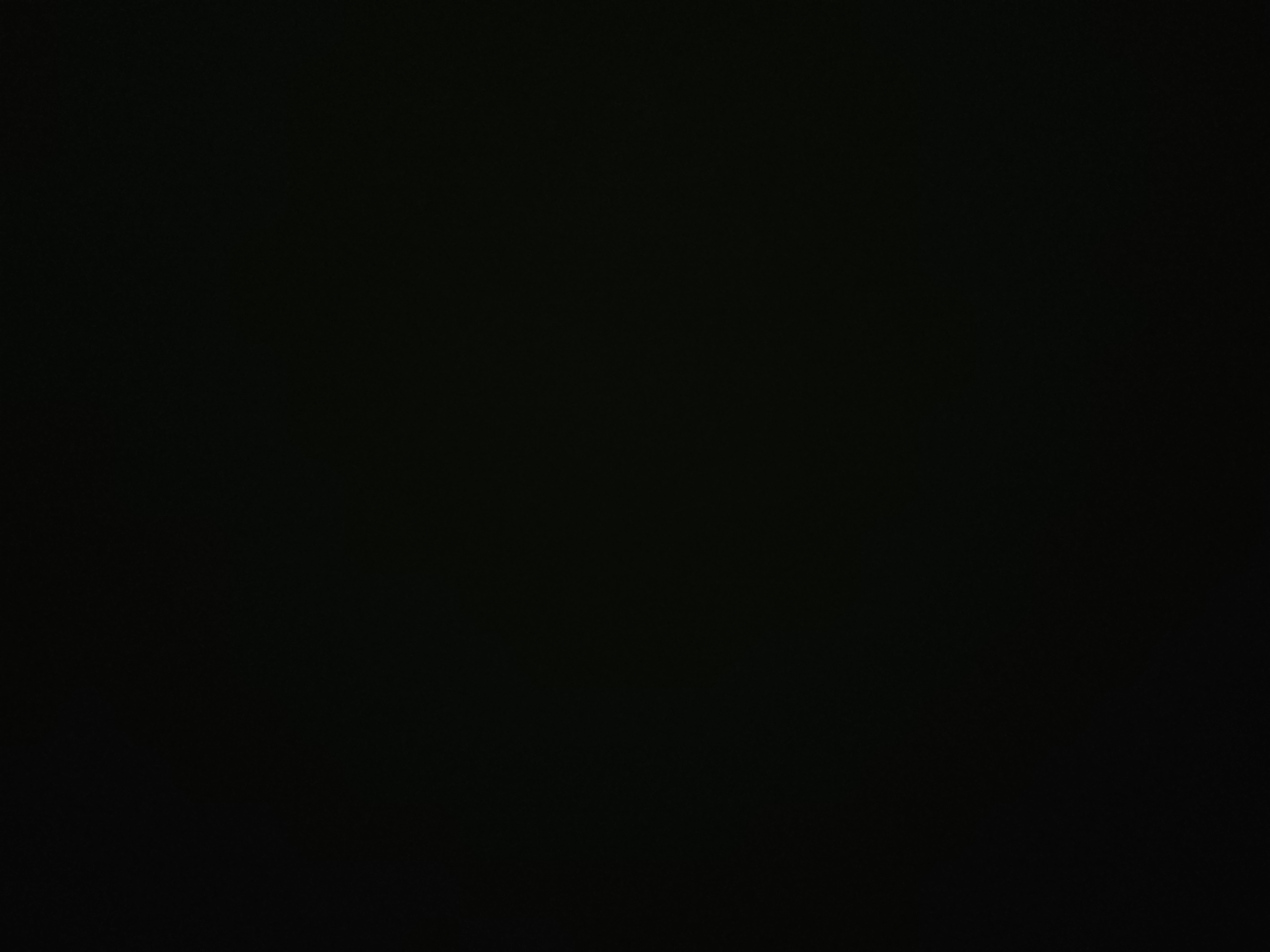 돈냄새맡은도둑