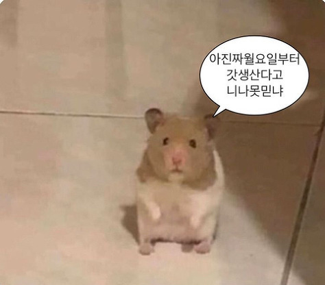 수인