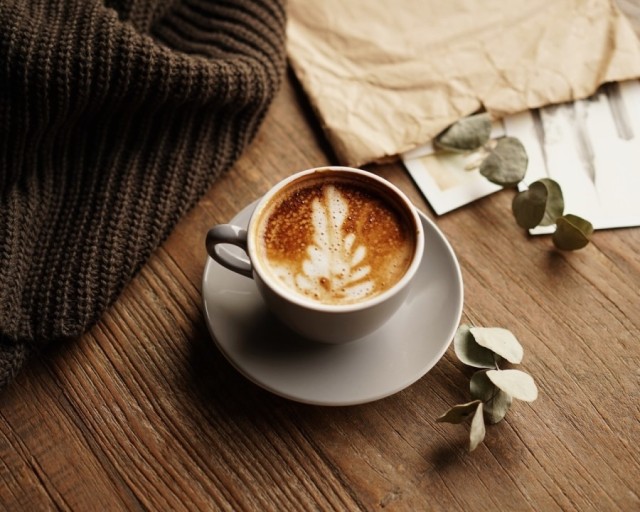 토리토리도토리