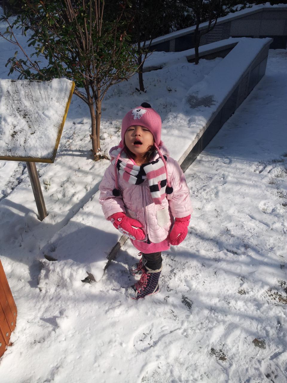 밥하기싫은여자