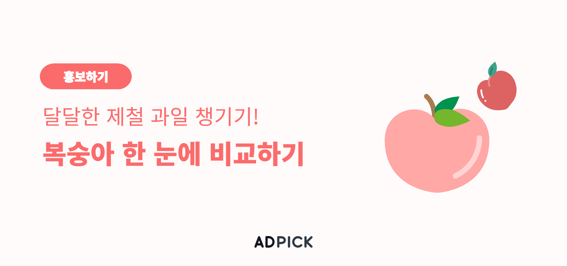 이미지 영역