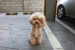 신명철