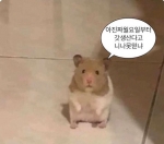 수인