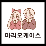 마리오케이스