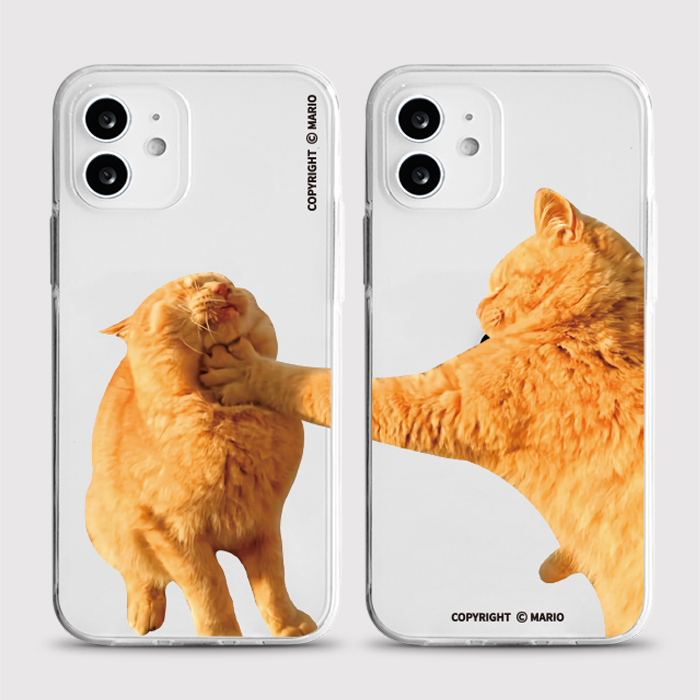 [젤리 커플고양이]
