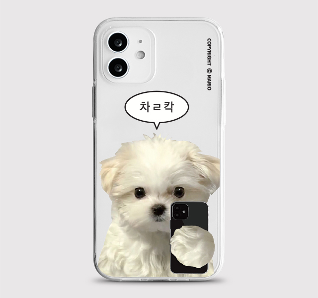 [젤리 찰칵]